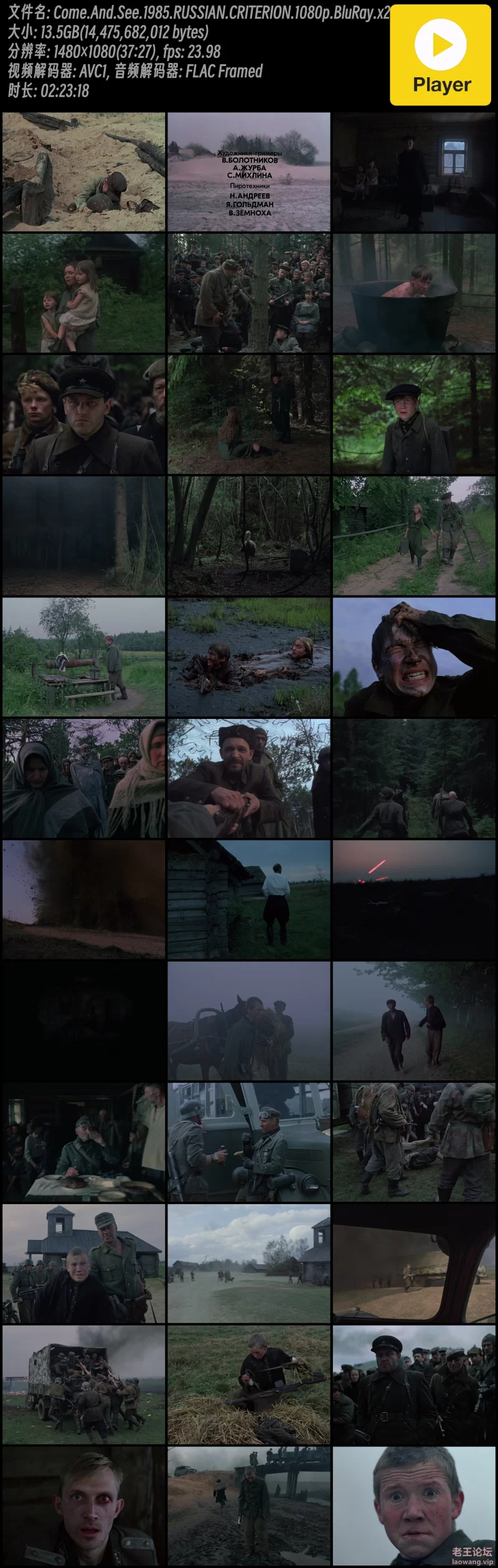 Come.And.See.1985.RUSSIAN.CRITERION.1080p.BluRay.x264-HDH.mkv.jpg